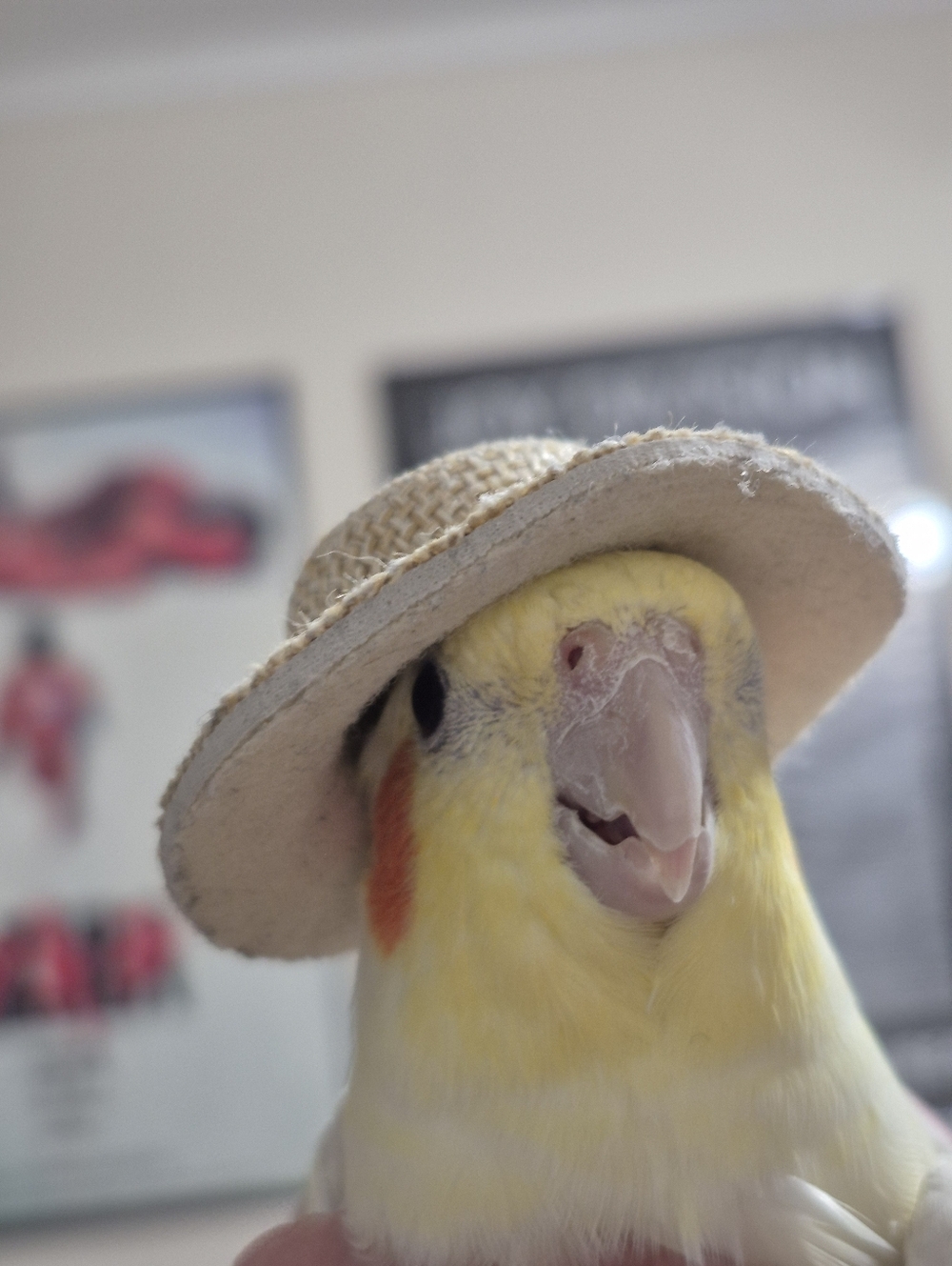 Meet your Posher, 💫